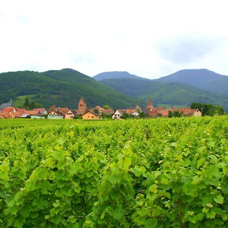 Chambre D'Hotes Le Vogelgarten Sigolsheim ภายนอก รูปภาพ